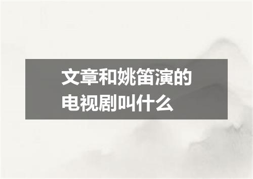 文章和姚笛演的电视剧叫什么