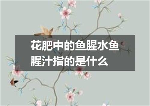 花肥中的鱼腥水鱼腥汁指的是什么