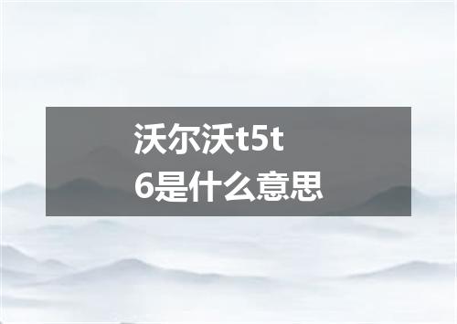 沃尔沃t5t6是什么意思