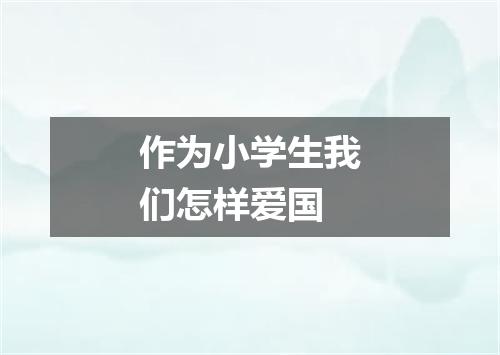 作为小学生我们怎样爱国