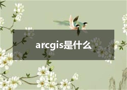 arcgis是什么