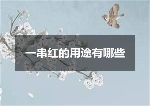 一串红的用途有哪些