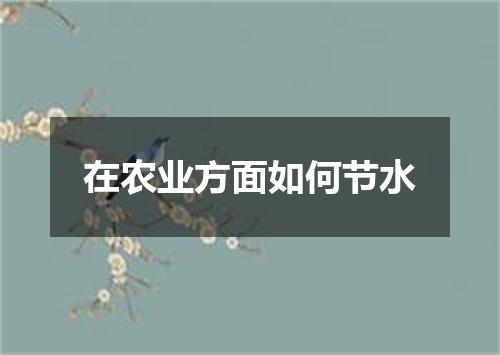在农业方面如何节水