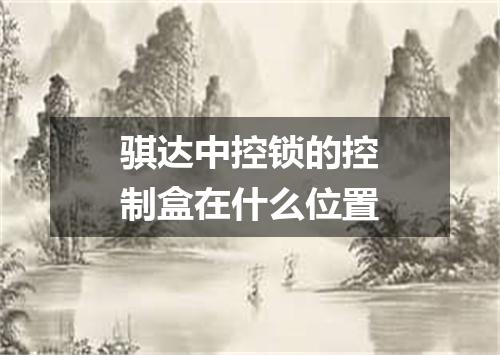 骐达中控锁的控制盒在什么位置