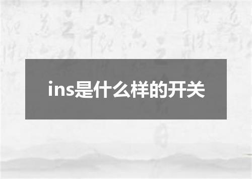 ins是什么样的开关