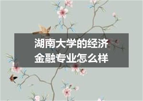 湖南大学的经济金融专业怎么样