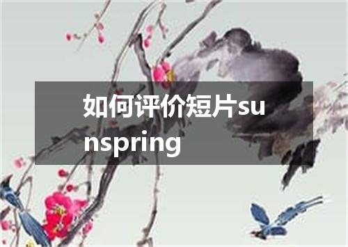 如何评价短片sunspring