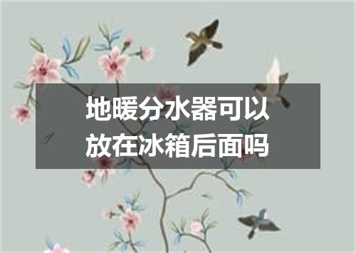 地暖分水器可以放在冰箱后面吗