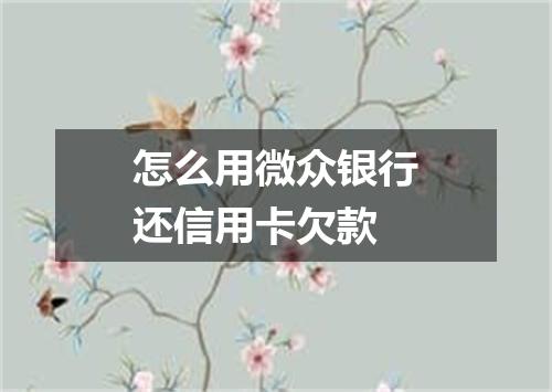 怎么用微众银行还信用卡欠款