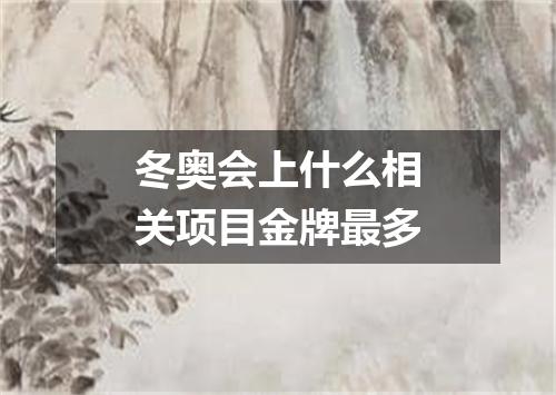 冬奥会上什么相关项目金牌最多