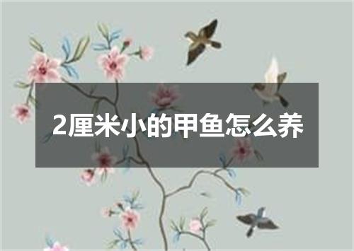 2厘米小的甲鱼怎么养