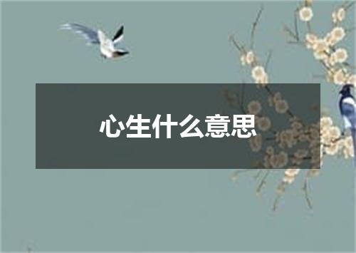 心生什么意思