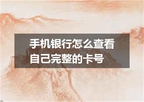 手机银行怎么查看自己完整的卡号