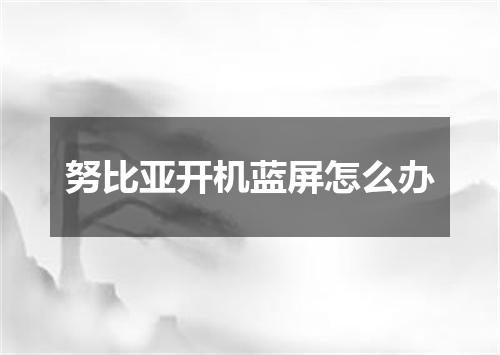 努比亚开机蓝屏怎么办