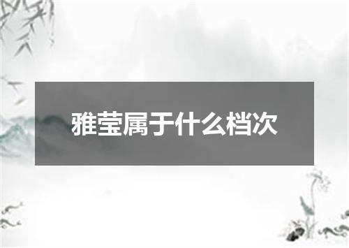 雅莹属于什么档次