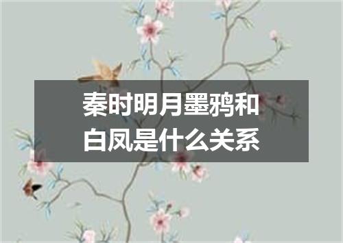 秦时明月墨鸦和白凤是什么关系