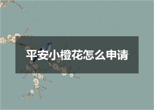 平安小橙花怎么申请