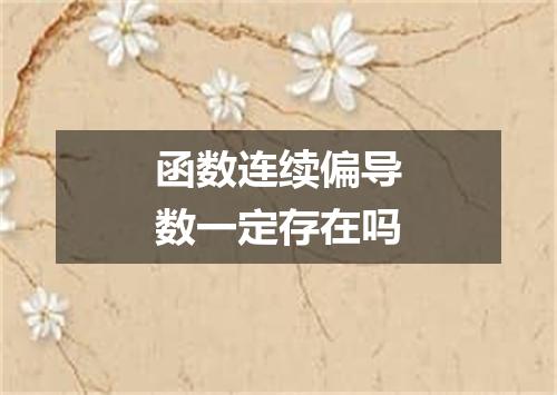 函数连续偏导数一定存在吗