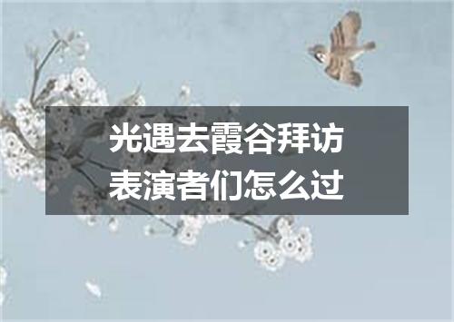 光遇去霞谷拜访表演者们怎么过
