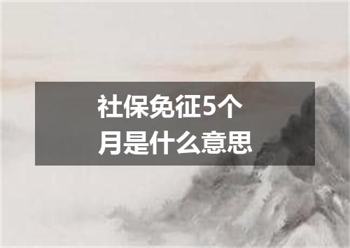 社保免征5个月是什么意思