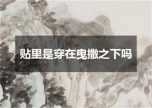 贴里是穿在曳撒之下吗