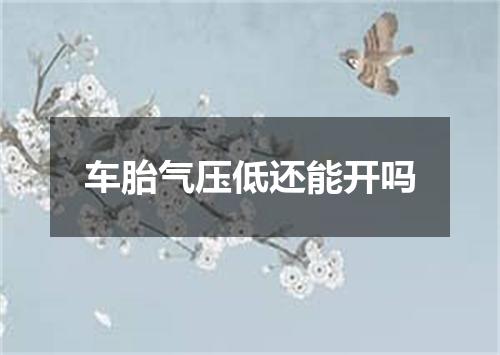 车胎气压低还能开吗