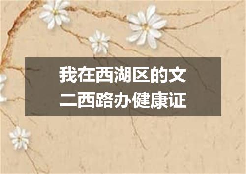 我在西湖区的文二西路办健康证