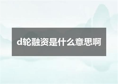 d轮融资是什么意思啊
