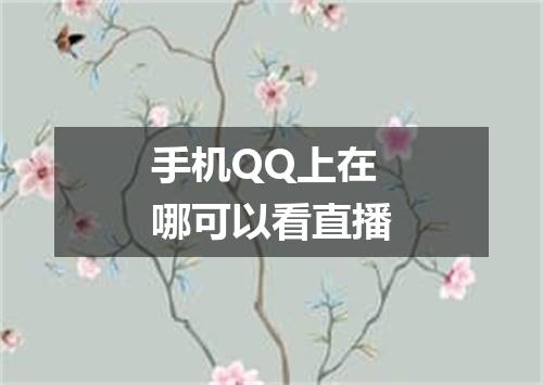 手机QQ上在哪可以看直播