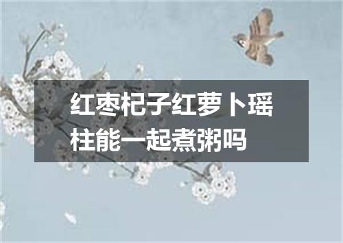 红枣杞子红萝卜瑶柱能一起煮粥吗
