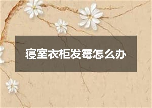 寝室衣柜发霉怎么办