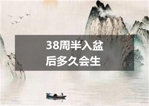 38周半入盆后多久会生