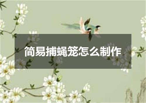 简易捕蝇笼怎么制作