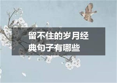 留不住的岁月经典句子有哪些