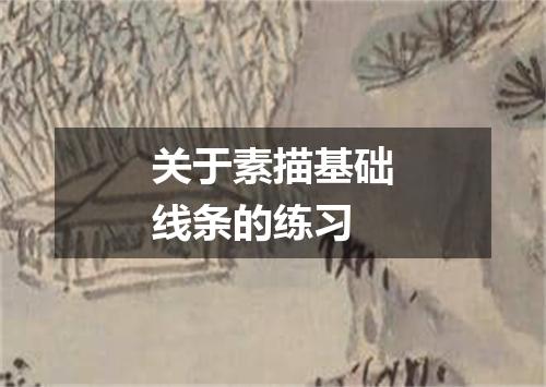 关于素描基础线条的练习