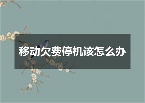 移动欠费停机该怎么办