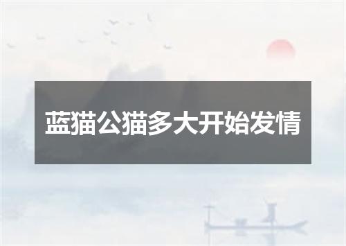 蓝猫公猫多大开始发情