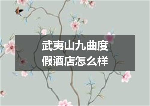 武夷山九曲度假酒店怎么样