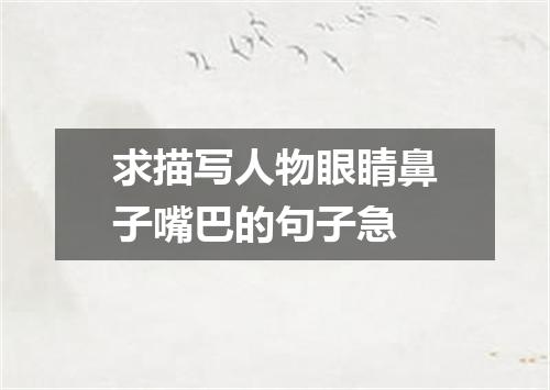 求描写人物眼睛鼻子嘴巴的句子急