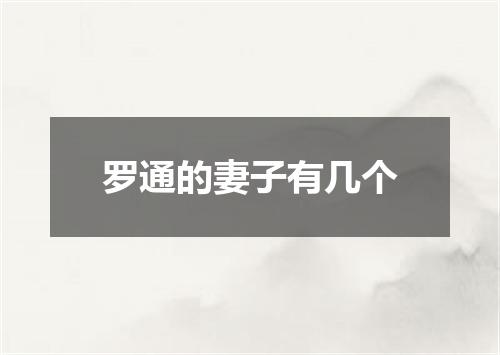 罗通的妻子有几个