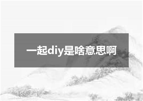 一起diy是啥意思啊