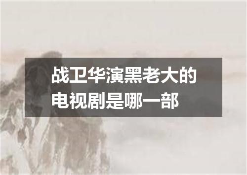 战卫华演黑老大的电视剧是哪一部