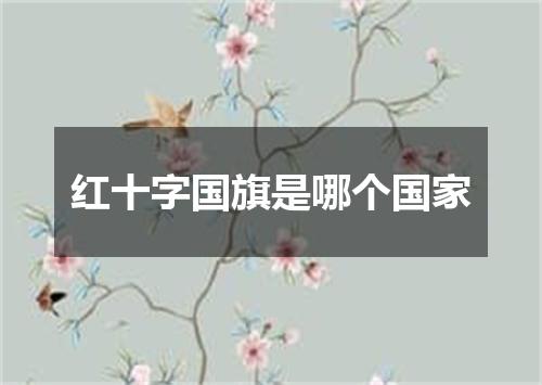 红十字国旗是哪个国家