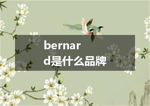 bernard是什么品牌