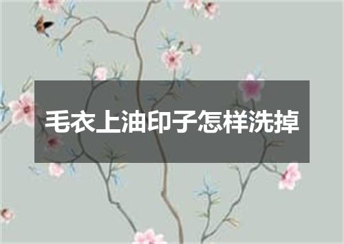 毛衣上油印子怎样洗掉