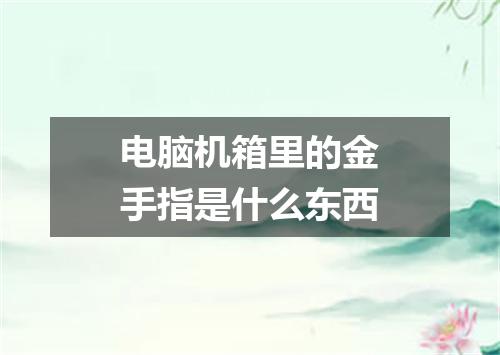 电脑机箱里的金手指是什么东西