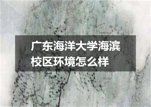广东海洋大学海滨校区环境怎么样