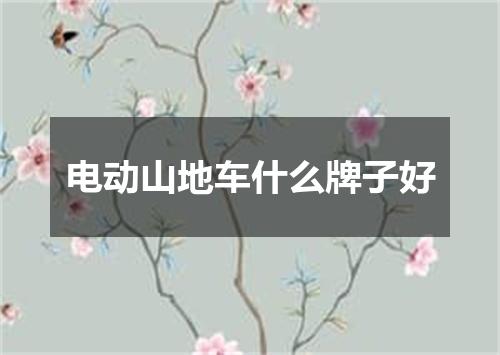 电动山地车什么牌子好
