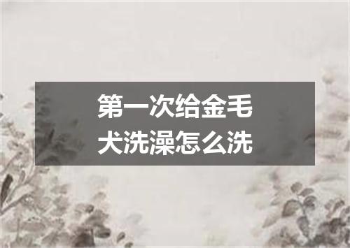 第一次给金毛犬洗澡怎么洗