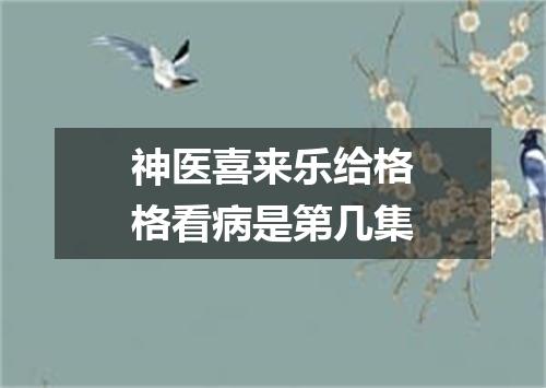 神医喜来乐给格格看病是第几集